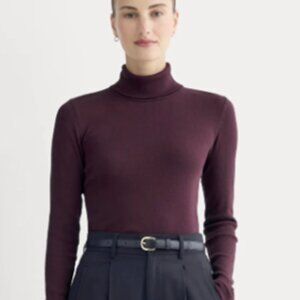 Everlane Luxe Pima Micro Rib Turtleneck in Heathered Port Royale